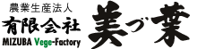 有限会社 美づ葉