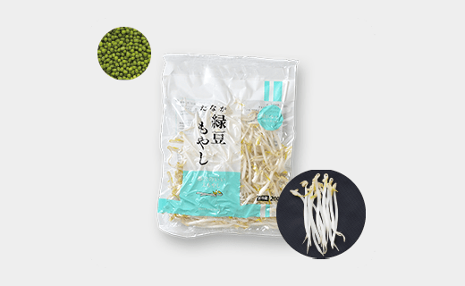 緑豆太もやし